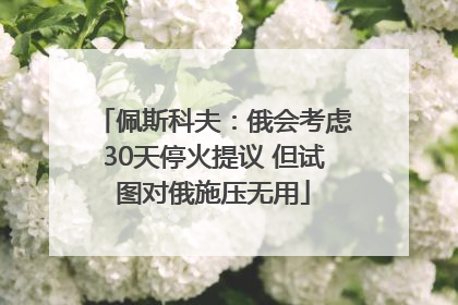 佩斯科夫：俄会考虑30天停火提议 但试图对俄施压无用