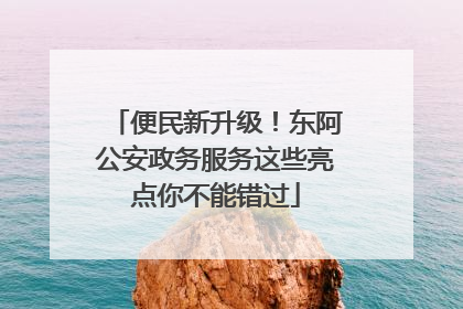 便民新升级！东阿公安政务服务这些亮点你不能错过