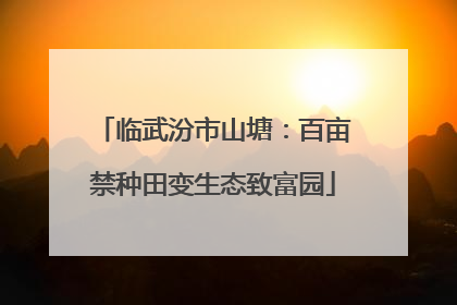 临武汾市山塘：百亩禁种田变生态致富园
