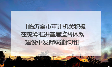 临沂全市审计机关积极在统筹推进基层监督体系建设中发挥职能作用