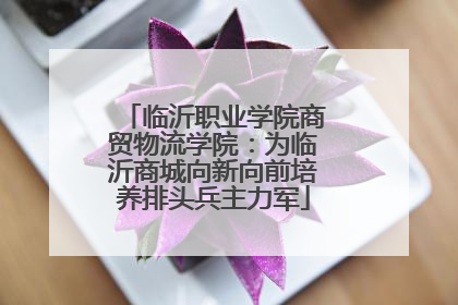 临沂职业学院商贸物流学院：为临沂商城向新向前培养排头兵主力军