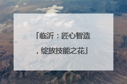 临沂：匠心智造，绽放技能之花