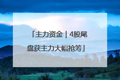 主力资金｜4股尾盘获主力大幅抢筹