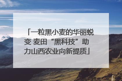 一粒黑小麦的华丽蜕变 麦田“黑科技”助力山西农业向新提质