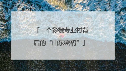 一个彩椒专业村背后的“山东密码”