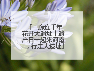 一廊连千年 花开大遗址丨遗产日一起来河南，行走大遗址