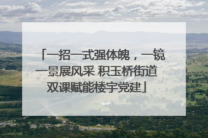 一招一式强体魄，一镜一景展风采 积玉桥街道双课赋能楼宇党建