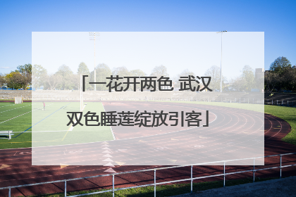 一花开两色 武汉双色睡莲绽放引客
