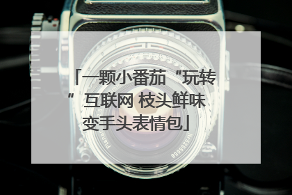 一颗小番茄“玩转”互联网 枝头鲜味变手头表情包