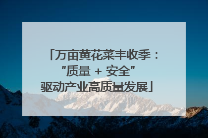 万亩黄花菜丰收季：“质量 + 安全” 驱动产业高质量发展