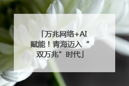 万兆网络+AI赋能！青海迈入“双万兆”时代