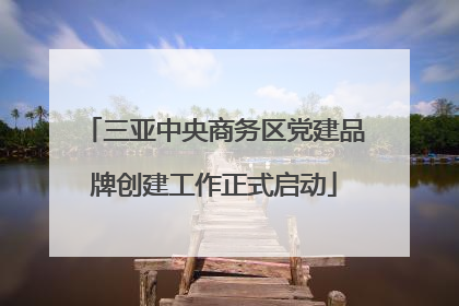 三亚中央商务区党建品牌创建工作正式启动