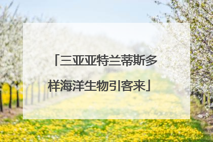 三亚亚特兰蒂斯多样海洋生物引客来