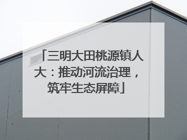 三明大田桃源镇人大：推动河流治理，筑牢生态屏障