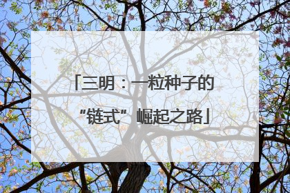 三明：一粒种子的“链式”崛起之路