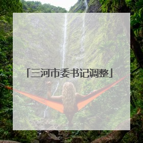 三河市委书记调整