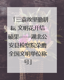 三袁故里勤耕耘 文明花开结硕果——湖北公安县检察院荣膺全国文明单位称号