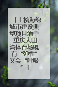 上榜海绵城市建设典型项目清单 重庆大田湾体育场既有“弹性”又会“呼吸”