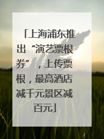 上海浦东推出“演艺票根券”，上传票根，最高酒店减千元景区减百元