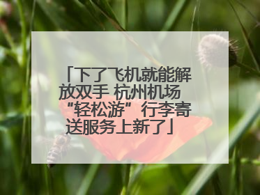 下了飞机就能解放双手 杭州机场“轻松游”行李寄送服务上新了