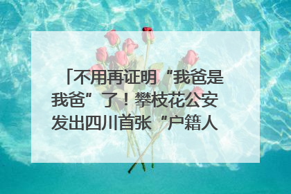 不用再证明“我爸是我爸”了！攀枝花公安发出四川首张“户籍人口直系亲属关系谱”