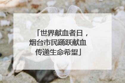 世界献血者日，烟台市民踊跃献血传递生命希望