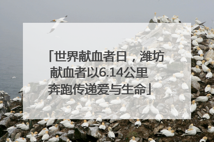 世界献血者日，潍坊献血者以6.14公里奔跑传递爱与生命