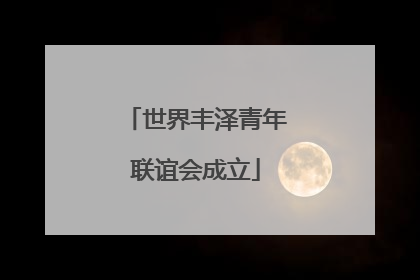 世界丰泽青年联谊会成立