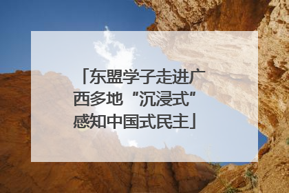 东盟学子走进广西多地“沉浸式”感知中国式民主