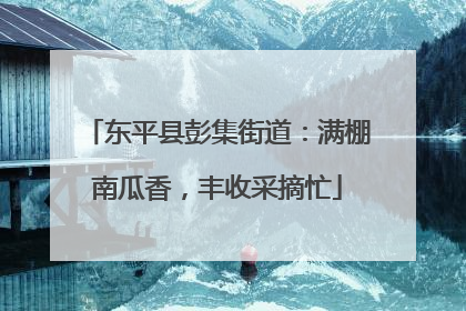 东平县彭集街道：满棚南瓜香，丰收采摘忙