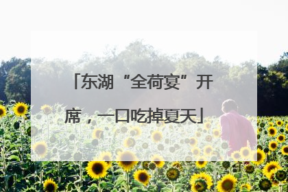 东湖“全荷宴”开席，一口吃掉夏天