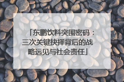 东鹏饮料突围密码：三次关键抉择背后的战略远见与社会责任