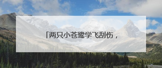 两只小苍鹭学飞刮伤，管护员紧急“送医”