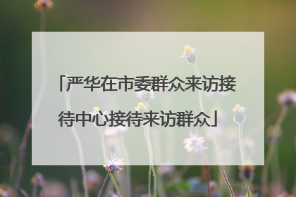 严华在市委群众来访接待中心接待来访群众