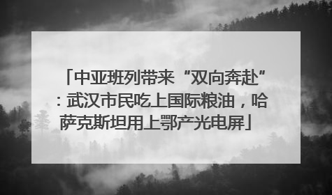 中亚班列带来“双向奔赴”：武汉市民吃上国际粮油，哈萨克斯坦用上鄂产光电屏