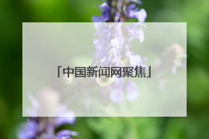 中国新闻网聚焦
