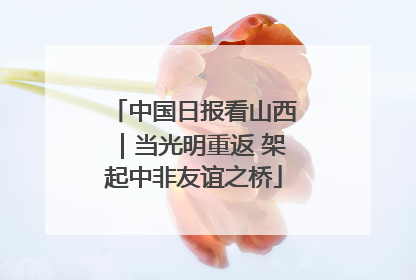中国日报看山西｜当光明重返 架起中非友谊之桥