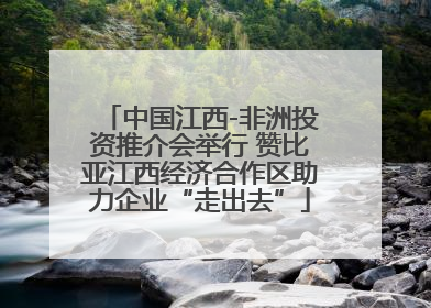 中国江西-非洲投资推介会举行 赞比亚江西经济合作区助力企业“走出去”