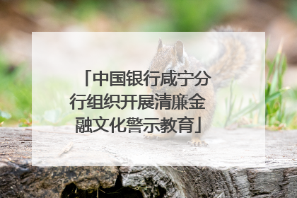 中国银行咸宁分行组织开展清廉金融文化警示教育