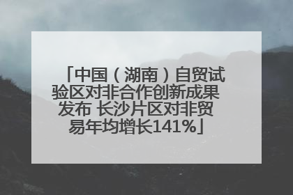 中国（湖南）自贸试验区对非合作创新成果发布 长沙片区对非贸易年均增长141%
