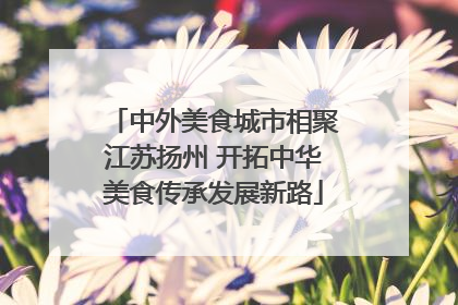 中外美食城市相聚江苏扬州 开拓中华美食传承发展新路