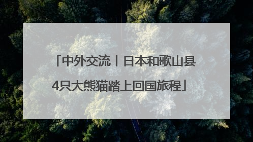 中外交流丨日本和歌山县4只大熊猫踏上回国旅程