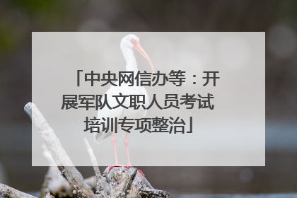 中央网信办等：开展军队文职人员考试培训专项整治