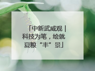 中新武威观｜科技为笔，绘就夏粮“丰”景