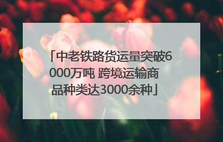 中老铁路货运量突破6000万吨 跨境运输商品种类达3000余种