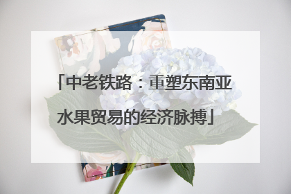 中老铁路：重塑东南亚水果贸易的经济脉搏