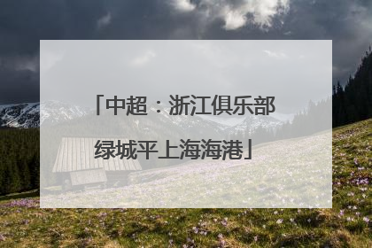 中超：浙江俱乐部绿城平上海海港