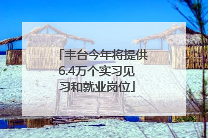 丰台今年将提供6.4万个实习见习和就业岗位