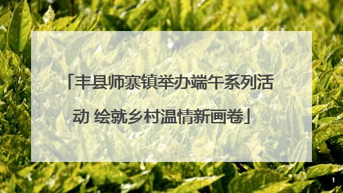 丰县师寨镇举办端午系列活动 绘就乡村温情新画卷