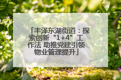 丰泽东湖街道：探索创新“1+4”工作法 助推党建引领物业管理提升